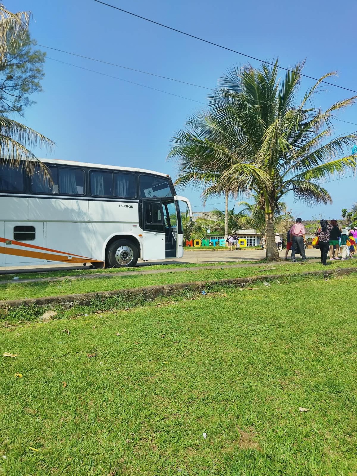Fotografía de Turismo MALSAN con autobús y palmeras